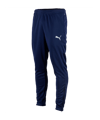 PUMA teamRISE Poly Trainingshose Blau Weiss F06 - blau
