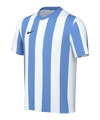 Nike Division V Striped Trikot Kids Weiss F102