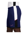 Nike Academy 25 Short Blau F492