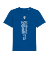 Nike NZSx11TS Slowenien SRCE BIJE T-Shirt EM 2024 F463 - blau