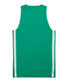 PUMA teamJAWS Starter Trikot Grün F010 - gruen
