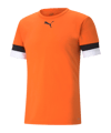 PUMA teamRISE Trikot Orange F08