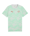 PUMA SFV Schweiz FtblCulture T-Shirt Grün F19 - gruen