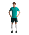 Nike Academy Trainingsshirt Grün F389 - gruen