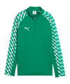 PUMA teamLIGA26 Training 1/4 Zip Top Kids Grün F05