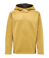Hummel hmlCIMA XK Hoody Kids Gold F9036 - gold