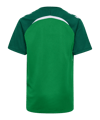 Hummel Trikot Kids Grün F6327 - gruen