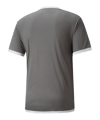 PUMA teamLIGA Trikot Grau F13 - grau