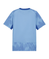 PUMA ÖFB Österreich X Salehe Bembury Torwarttrikot Blau F83 - blau