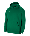 Nike Park 20 Fleece Hoody Kids Grün Weiss F302 - gruen