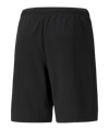 PUMA TeamRISE Short Schwarz F04 - schwarz