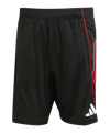 adidas Ajax Amsterdam Training Short Schwarz - schwarz