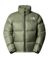 The North Face 1996 Retro Nuptse Jacke Grün - gruen