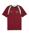 PUMA SFV Schweiz Trainingsshirt Rot F09 - rot