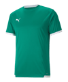 PUMA teamLIGA Trikot Grün F05