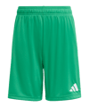 adidas Entrada 26 Short Kids Grün