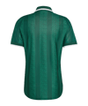 adidas Südafrika Authentic Trikot Away 2026 Grün - gruen