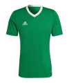 adidas Entrada 22 Trikot Grün - gruen