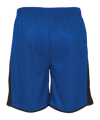 Stanno Altius Short Blue F5800 Short Blau - blau