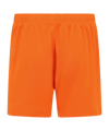 Castore FC Brügge Torwartshort Auswärts 2025/2026 Rot F080 - rot