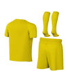 Nike Park VIII Trikot Set Kids Gelb F719 - gelb