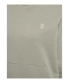 Hummel Pulse Sweat Hoody Damen Grün F6092 - gruen