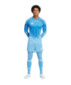 adidas Tiro 25 Pro Torwarttrikot Blau - blau
