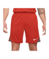 Nike Strike Short Rot F626