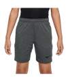 Nike Academy Trainingshort Grau F065