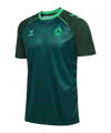 hummel SV Werder Bremen Pre Game Trikot 2026/2027 Grün F6228 - gruen