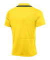 Nike Academy Pro 24 Poloshirt Gelb F719 - gelb