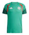 adidas Algerien Tiro Trainingsshirt Grün - gruen