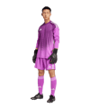 adidas Tiro 25 Competition Torwarttrikot Lila - lila