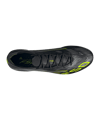 adidas F50 Elite SG Electric Stealth Schwarz - schwarz
