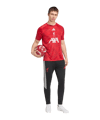 adidas FC Liverpool Pre Match Trikot 2026/2027 Rot - rot