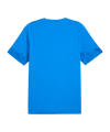 PUMA teamCUP Trikot Blau F002 - blau