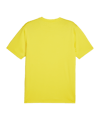 PUMA teamGOAL Trikot Gelb F07 - gelb