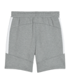 PUMA teamEVOSTRIPE Short Grau F33 - grau