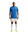 Nike Park VIII Trikot Blau F463