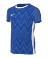 Nike Challenge V Trikot Kids Blau Weiss F463