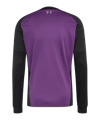 adidas FC Liverpool Torwarttrikot Langarm Away 2026/2027 Lila - lila