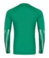 Nike Park V Trikot langarm Grün F324 - gruen