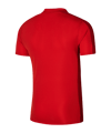 Nike Academy Poloshirt Rot F657 - rot