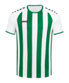 JAKO Inter Trikot Weiss Grün F013