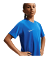 Nike Park VIII Trikot Kids Blau F463