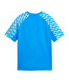 PUMA teamLIGA26 Trikot Kids Blau F02 - blau