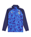 PUMA Neymar Jr. Sweatshirt Kids Blau F01 - dunkelblau