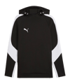 PUMA teamEvostripe Hoody Schwarz F03