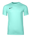Nike Park VIII Trikot Türkis F354