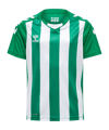 Hummel hmlCore XK Striped Trikot Kids Grün F6129